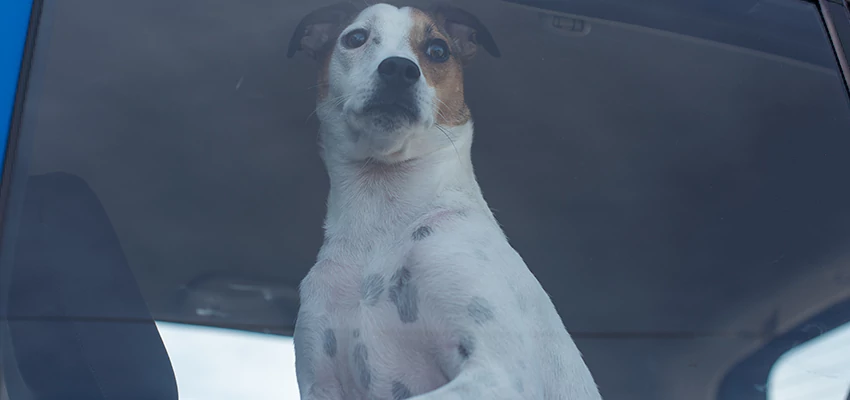 Car Lockout Solutions in Fort Bragg, California